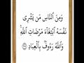من أسرار القرآن 12.. الفرق بين "شرى" و"اشترى"
