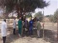 حملة بيطرية بجنوب سيناء (3)                                                                                                                                                                             