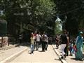  إقبال ضعيف على حديقة حيوان الجيزة (8)                                                                                                                                                                  
