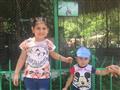 حديقة الحيوان (6)                                                                                                                                                                                       