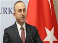 وزير الخارجية التركي مولود جاويش أوغلو