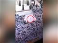 حقيقة "الجني" مخترق صفوف المصلين بالحرم المكي‬