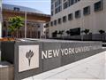 جامعة نيويورك