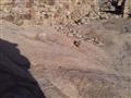 بعد تنظيف الجبل  (7)                                                                                                                                                                                    