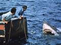 Jaws                                                                                                                                                                                                    