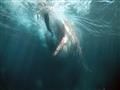 كواليس فيلم The Meg (21)                                                                                                                                                                                