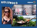 نشرة هوليوود