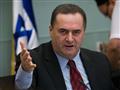وزير الخارجية الإسرائيلي يسرائيل كاتس