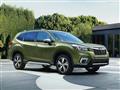 Subaru-Forester-2019-1024-01                                                                                                                                                                            
