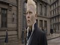 كواليس فيلم Fantastic Beasts (5)                                                                                                                                                                        