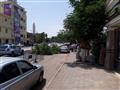 سقوط شجرة بشارع الكورنيش بأسوان                                                                                                                                                                         