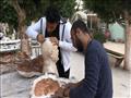 طلب ينحتون تماثيل في فنون المنيا