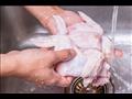 دراسة تكشف سبب منع غسل الدجاج قبل الطهي