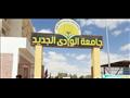 جامعة الوادي الجديد