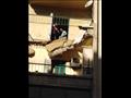انهيار جزئي بعقارين في الإسكندرية