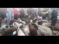أسواق المواشي والأغنام
