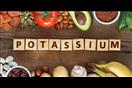 البوتاسيوم                                        
