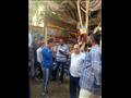 حملات اليوم الواحد 