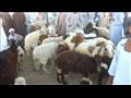 سوق الأغنام