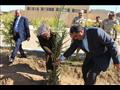 حكمدار الوادي الجديد يغرس نخلة بديوان الإذاعة  (3)