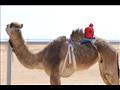 تدريب الجمال  (2)