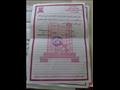 اللجان النقابية تعلن تأييدها للتعديلات الدستورية (9)