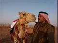 مشاركة قبائل جنوب سيناء في سباق الهجن بالرياض  (2)