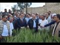وزير الزراعة يتفقد حقول القمح الإرشادية ببني سويف (3)