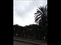  سحب وأمطار في القاهرة اليوم​ (6)
