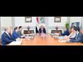 السيسي يوجه بتطوير صناعة البتروكيماويات