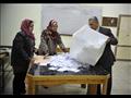 انتهاء الاستفتاء وفرز الاصوات  (8)