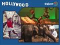 نشرة هوليوود