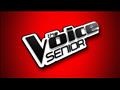 THE VOICE SENIOR