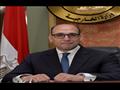 متحدث الخارجية أحمد حافظ