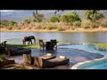 4. Chongwe River House Pool