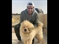 احمد فهمي مع كلابه (1)