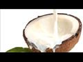 فوائد مذهلة لحليب جوز الهند.. منها حرق الدهون