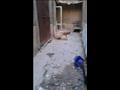 انهيار جزئي بعقار قديم في حي الجمرك بالإسكندرية (4)