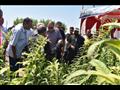 محافظ الفيوم يفتتح موسم جني القطن (4)