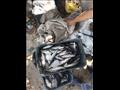 ضبط أسماك نافقة وإعدامها بإدكو ورشيد٢ _7