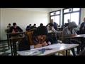 امتحانات جامعة المنيا