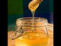 عسل النحل 