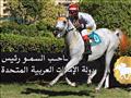 سباق كأس رئيس الإمارات للخيول العربية بالإسكندرية 