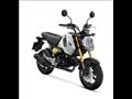 هوندا MSX 125 GROM