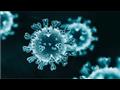 فيروس كورونا