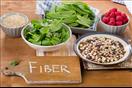 الألياف