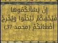 إِن يَسْأَلْكُمُوهَا فَيُحْفِكُمْ تَبْخَلُوا وَيُخ