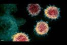 فيروس كورونا