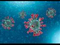 فيروس كورونا