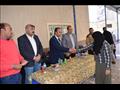 نائب محافظ المنيا يتابع المشروعات الخدمية 
